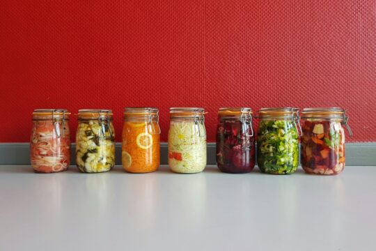 Gut Health and Probiotics Explained: